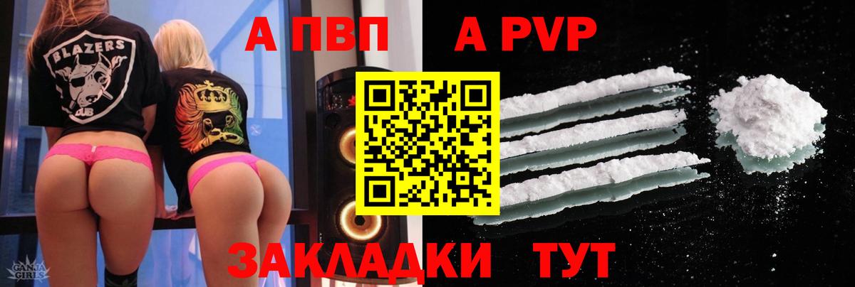 Alfa_PVP СК Кимры